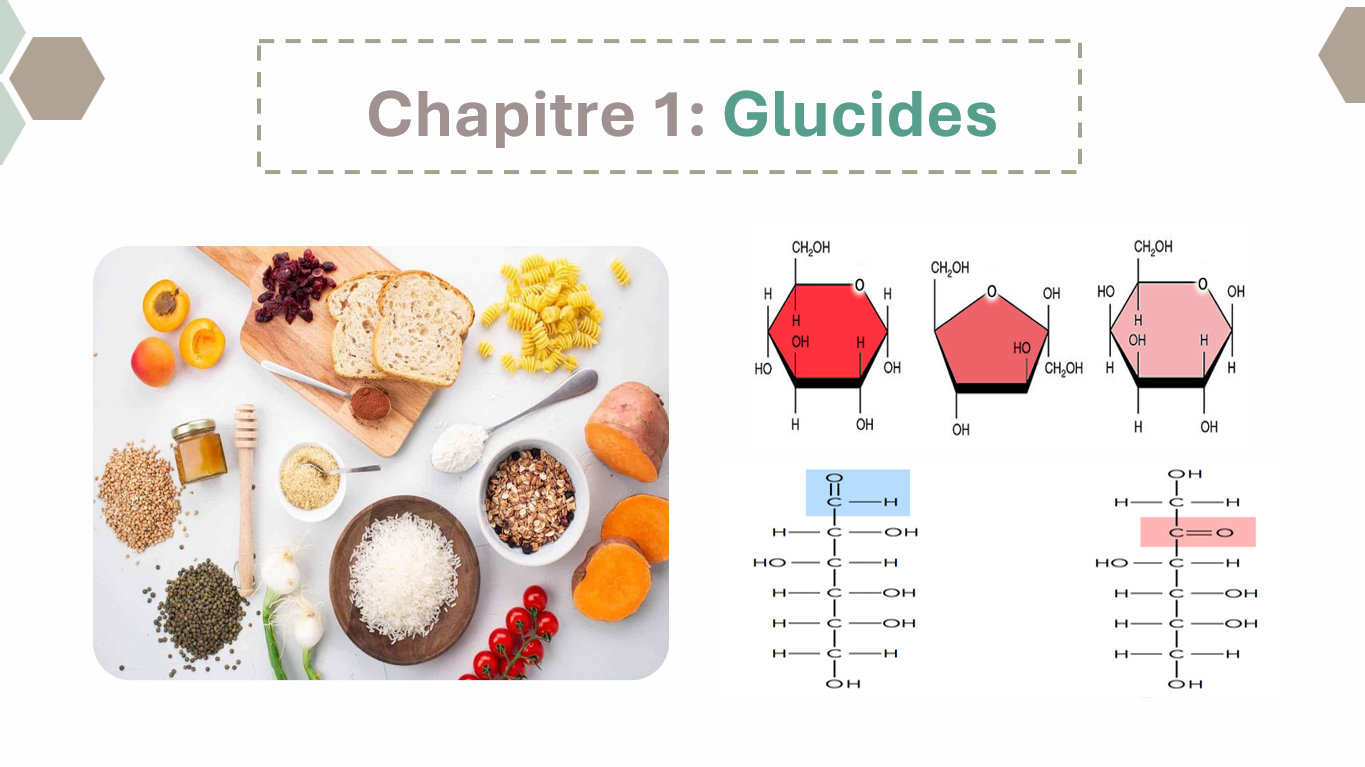 Glucides